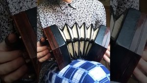 Английская концертина. Бетховен, «Романс»