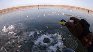 Окунь на блесну,открытие зимнего сезона 2019 - 2020 пруд Висловский