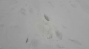 Уаз Патриот  Не включается раздатка