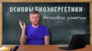 28.  Итоговое занятие. Основы Биоэнергетики.