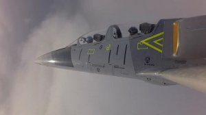 Высший пилотаж на Л-39 / Aerial acrobatics on L-39 jet