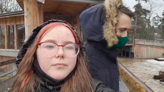 ВЛОГ 9🤟😎ПОХОД В ЗООПАРК"В ПОИСКЕ ЖИВОТНЫХ"#КЛУБДЛЯПОДРОСТКОВ #ДИСКОТЕКА #ТУСОВКА #АРСИЙСКИЙДРИФТ смотреть онлайн