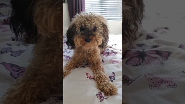 don't mind that he's shaved in one . some of these photos are old смотреть онлайн