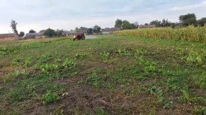 Опрыскивание от сорняков , гербицидом Раундап + Эстерон, трактором т 25