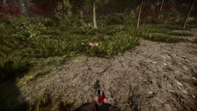 ALL MUTANTS from Sons Of The Forest EA | Showcase
