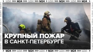 На территории Санкт-Петербурга начался крупный пожар в производственном здании - Москва 24
