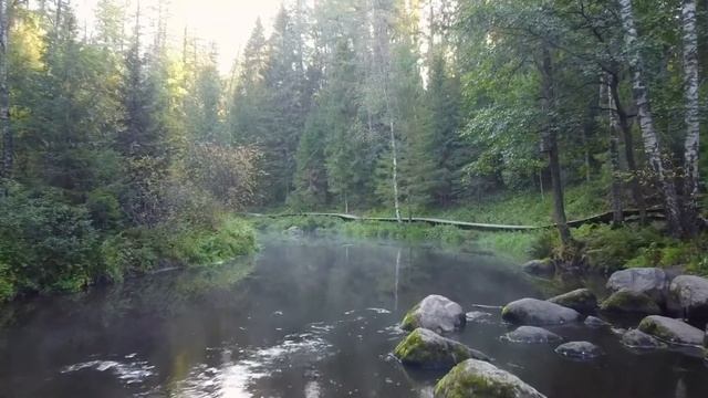 Линдуловская лиственная роща