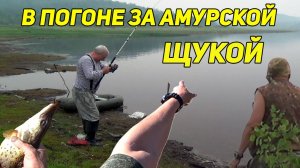 В ПОГОНЕ ЗА АМУРСКОЙ ЩУКОЙ. БУДЬ, А НЕ КАЖИСЬ.