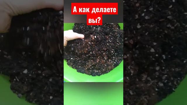 Вкусный грунт/томаты скажут СПАСИБО🤫