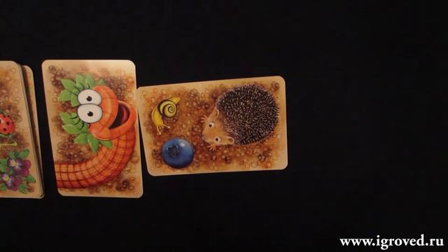 Червячки: фруктовая гонка. Обзор настольной игры от Игроведа. смотреть онлайн