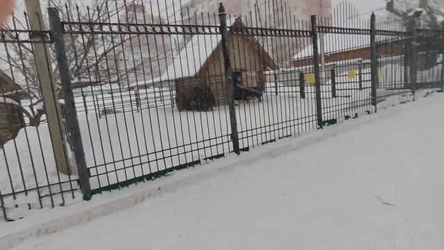 16 января 2024 г. смотреть онлайн