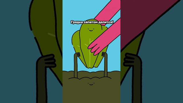 Теперь наши салаты, овощи и фрукты прямо с грядки на стол к нуждающимся семьям. #салатыбелаядача
