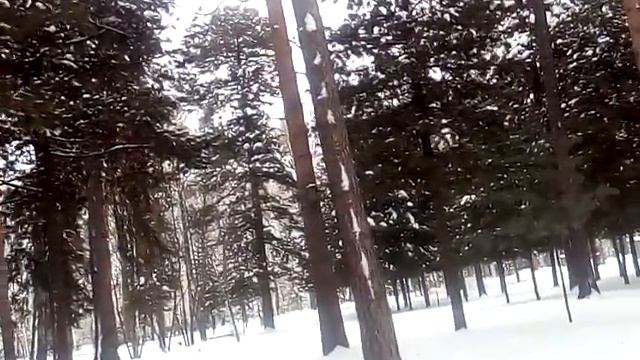 Хобби. Как выбрать дело по душе?