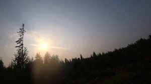 на квадре-Сокол, в тайгу на открытие !