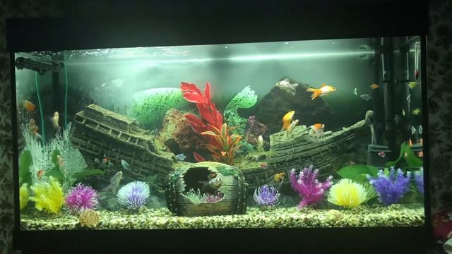 аквариум корабль внешний фильтр для аквариума