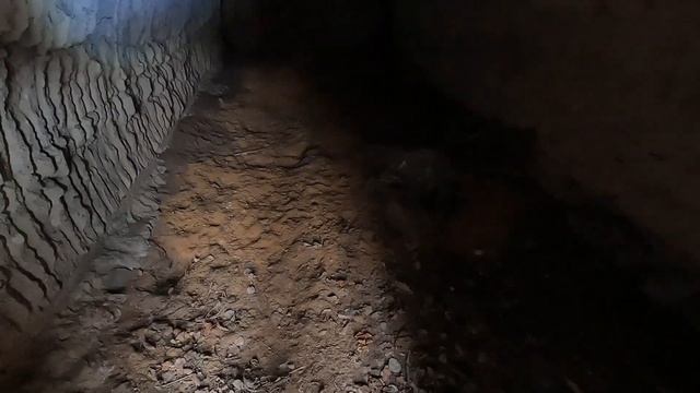 Лес 43 Крево Запад-1. Немецкий бетонный блиндаж 3 (512).  30 марта 2023 года