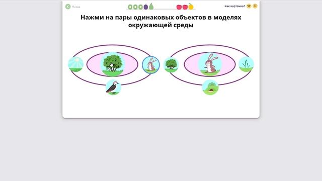 Заполни схему запиши примеры экологических связей