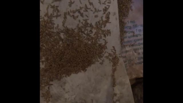 Гранулятор DR 150 inHome С Увеличиными Роликами Привод Бензодвигатель Lifan С Понижающим Редуктором смотреть онлайн