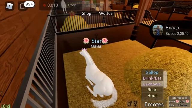 Мы играем в роблокс лошади смотреть онлайн
