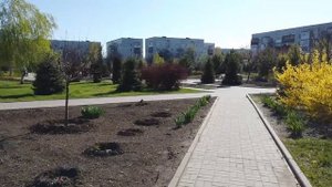 Влог. Идём в парк. Курахово. Южный.