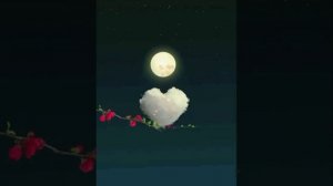 Beautiful NASHEED...♥️??