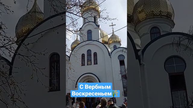 С Вербным Воскресеньем #природа #православие #праздник #вербноевоскресенье #церковь