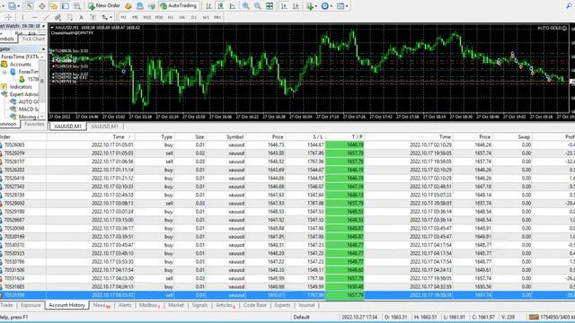 FOREX EA: AUTO GOLD Scalper - 13 Weeks Review, Unveiling the Power of AGS Auto Trading Robot.
