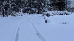 【雪の車中泊】雪降る湖畔で餃子を焼く【エブリィワゴンDA64W】