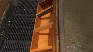 Выращивание поросят смесь Ландрас и Дюрок