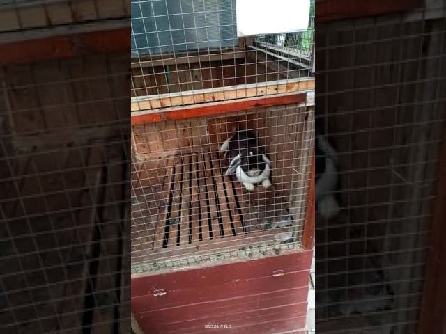 26 мая 2023 г. смотреть онлайн