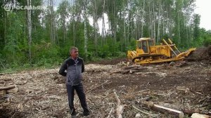 Работа бульдозера Б10 с корчевателем. Лесная просека. Альметьевск. Купить бульдозер в Росальянсе.