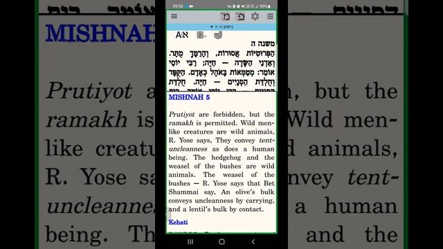 ЕЖЕДНЕВНЫЕ УРОКИ МИШНЫ c р. Йосефом Рафаэли. Урок от 12.09.2022 смотреть онлайн