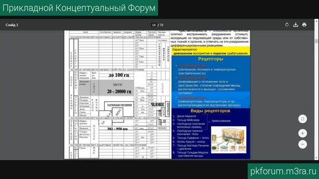 ПКФ #13. Валентин Русаков. Пути изменения психодинамики... Обсуждение доклада