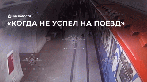 Задержание дебошира на станции метро "Тверская"