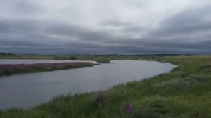 Омская обл. Муромцевский рай. д. Лисино, Алдан