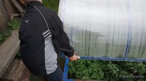 Самодельный огуречник и парник из поликарбоната