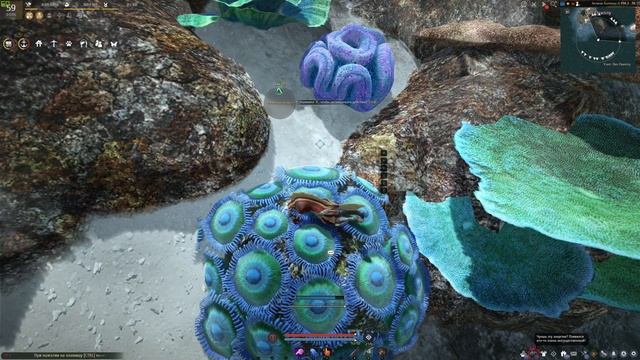 Где найти Разноцветные кусочки кораллов для квеста «Лакомство для молодых выдр» смотреть онлайн