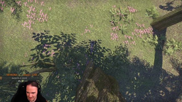 TESO [131] - "Найди Пьяного ящера 8" и получи кучу золота. Все локации + Увеличенная награда (3,5кк смотреть онлайн