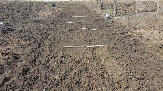 #47 Сажаем клубнику на нашем участке. смотреть онлайн