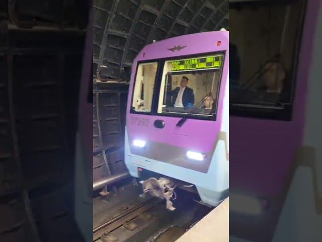 Парад ретро Поездов на БКЛ смотреть онлайн