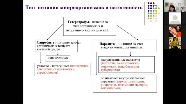Г.Ш. Исаева. Учение об инфекции. Лечебный факультет. смотреть онлайн