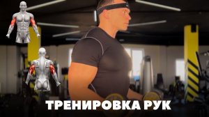 Отличный комплекс упражнений на бицепс и трицепс