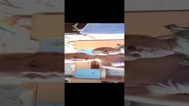 обновление!!! у меня появился: реборн!!! смотреть онлайн