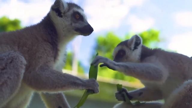 Музыка лечит сердце ? Расслабляющая музыка для отдыха ума, стресса, беспокойства, медитации #18???? смотреть онлайн