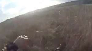 Коля Маню - Прогулка