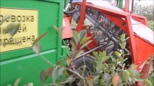 Комбайн полурядный ягодоуборочный