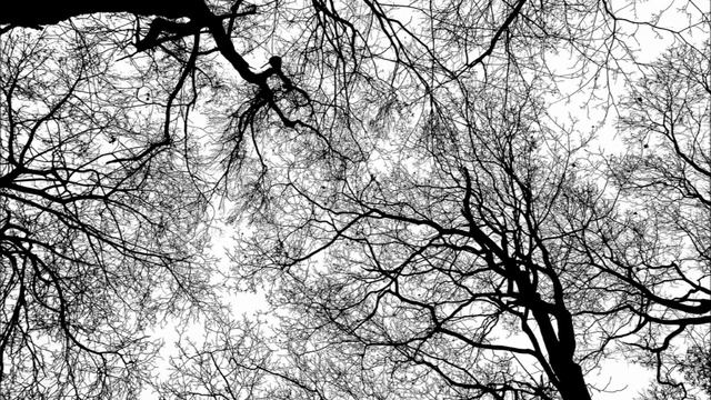 Разлуки печаль смотреть онлайн