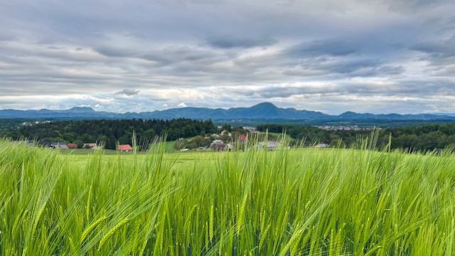 Robin Spielberg. One Last Look смотреть онлайн