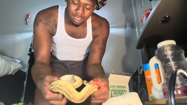 Mystery BALL PYTHON MORPH  unboxing❓SHOCKING MORPH