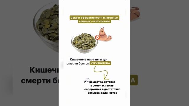 СЕКРЕТ Тыквенных Семечек